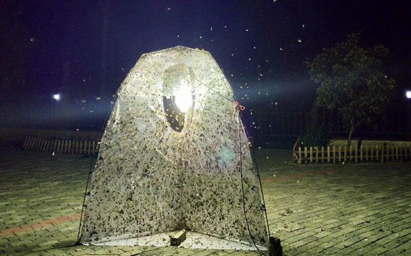 灯诱效果图.jpg 灯诱效果图.jpg