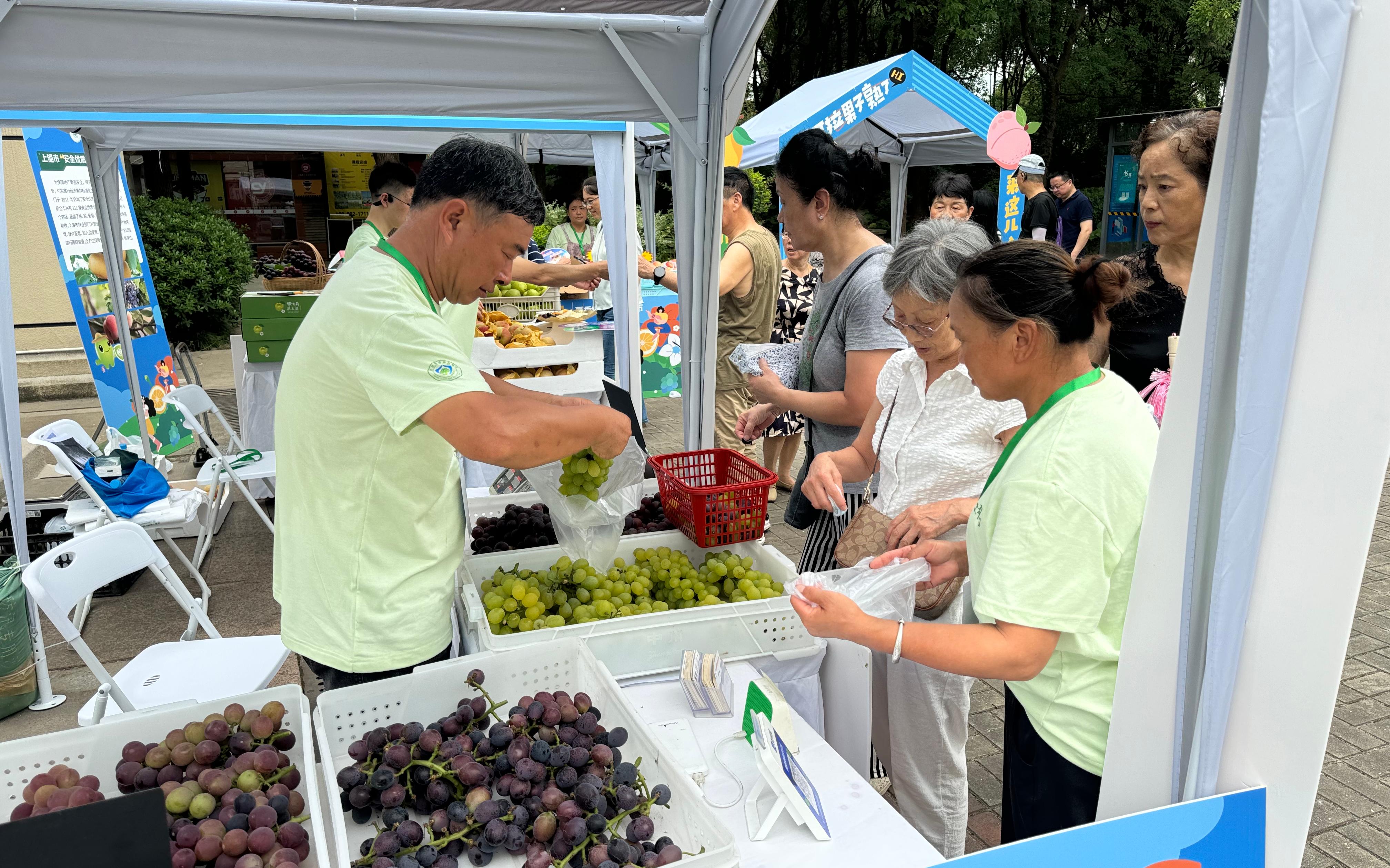 “阿拉果子熟了”——2024年夏季果品公园集市 开市啦1.jpg