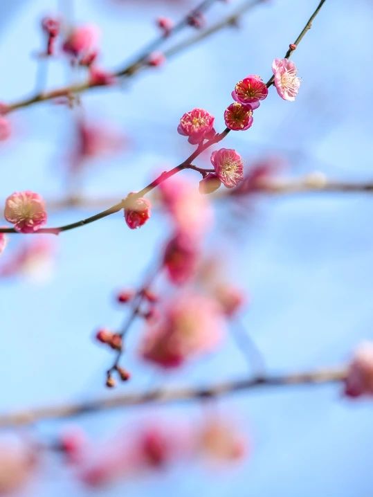 0227_102916_737.jpg 微信图片_2025-02-27_102918_985.jpg