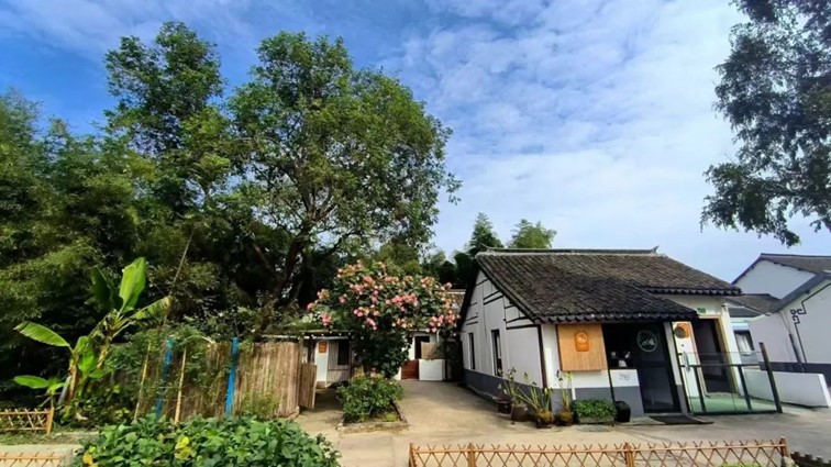 一二三四|青浦秋日疗愈系轻居,每一家都想住一遍…… 一二三四|青浦秋日疗愈系轻居,每一家都想住一遍……