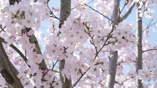 0327_121558_782.jpg 微信图片_2025-03-27_121700_672.jpg