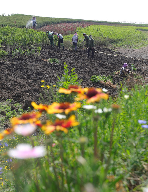2022年6月2日,工人在辽宁抚顺西露天矿内植树。.jpg 2022年6月2日,工人在辽宁抚顺西露天矿内植树。.jpg