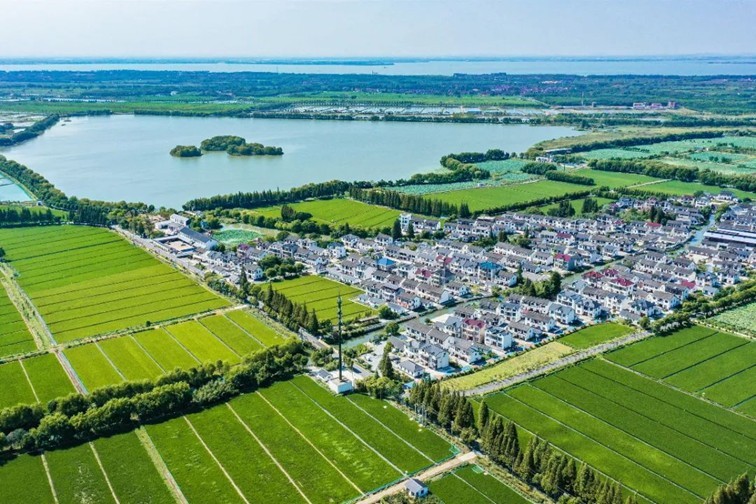 江南春景水一半,12处小流域绘青浦生态美域 江南春景水一半,12处小流域绘青浦生态美域