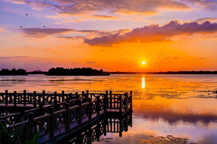 江南春景水一半,12处小流域绘青浦生态美域 江南春景水一半,12处小流域绘青浦生态美域