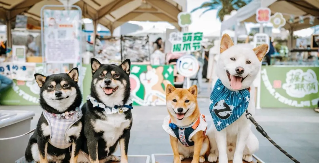 20240711152804066522.jpg 03.jpg