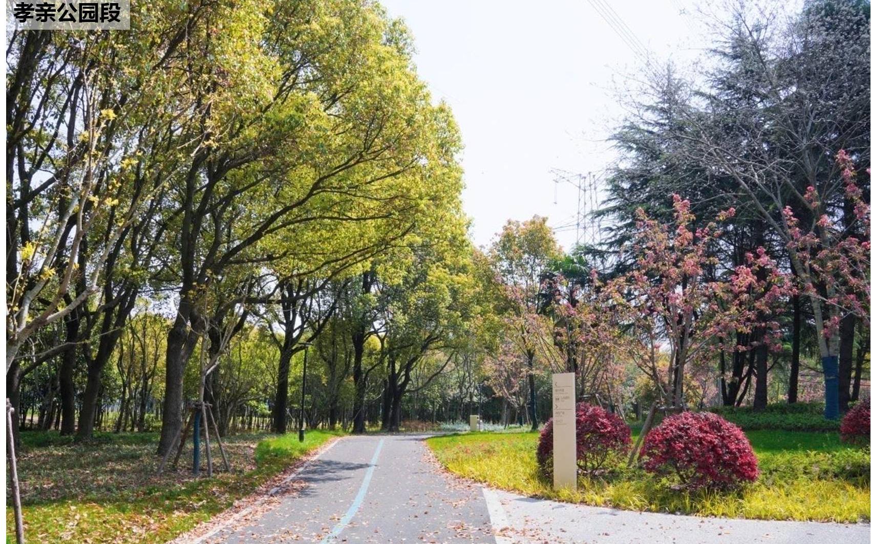 孝亲公园段.jpg 孝亲公园段.jpg