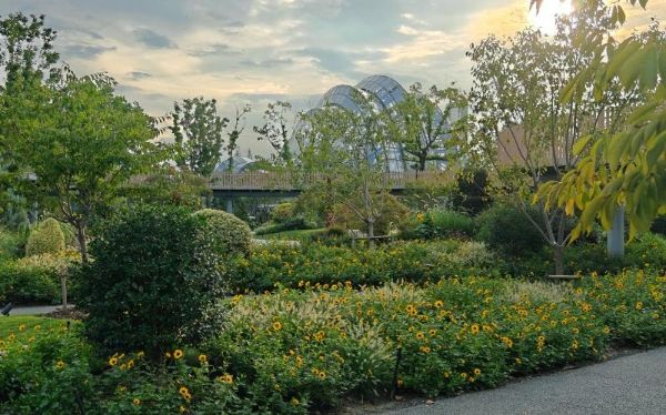 IMG20240926164624.jpg IMG20240926164624.jpg