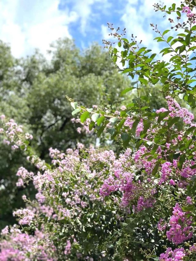 0830_141156_889.jpg 微信图片_20240830095838.jpg