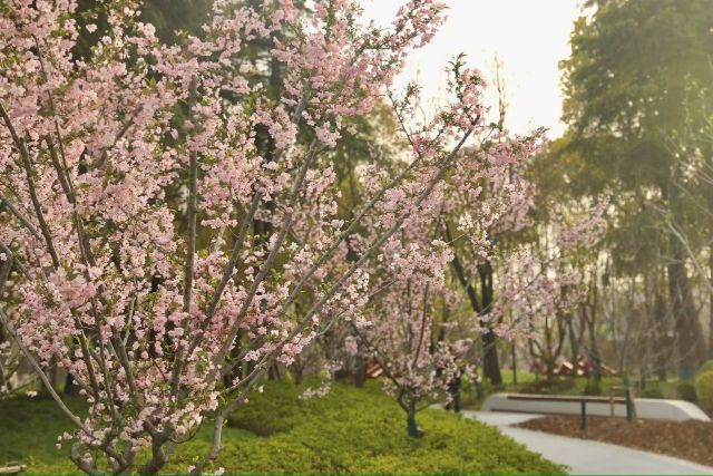 0407_121545_437.jpg 微信图片_2025-04-07_121357_083.jpg