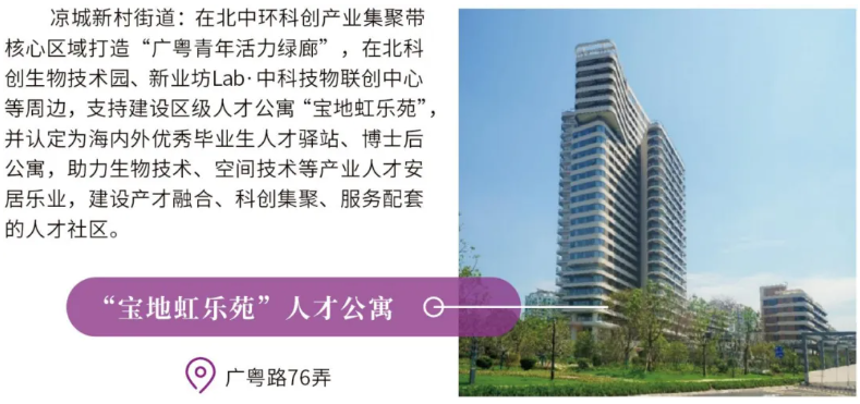 凉城新村街道.png 凉城新村街道.png