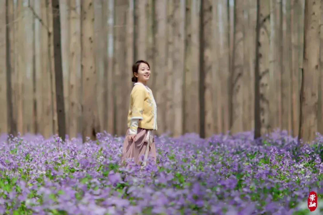 20241009090622087354.jpg 20241009090622087354.jpg