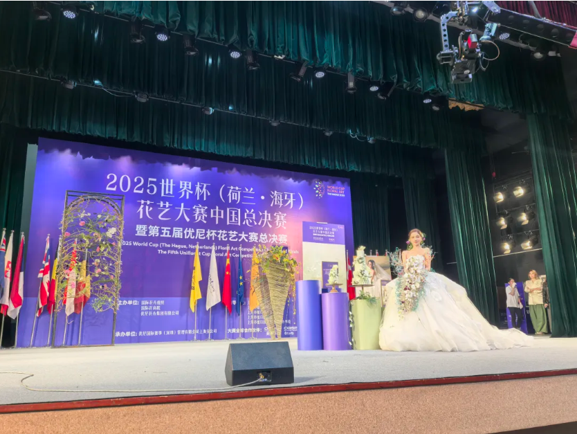 image (2).png image (2).png