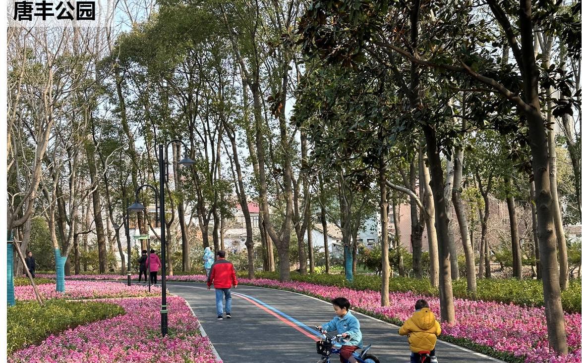 3唐丰公园段.jpg 3唐丰公园段.jpg