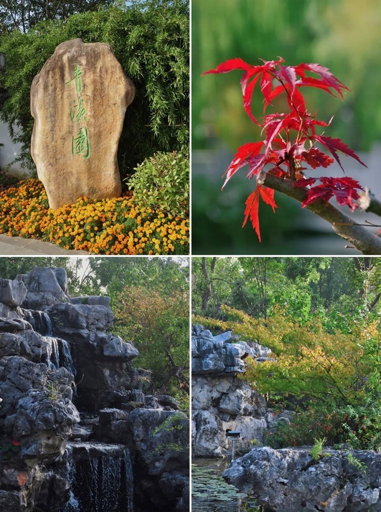 寒风乍起,秋意正浓,你想要的绝色秋光就藏在青浦! 寒风乍起,秋意正浓,你想要的绝色秋光就藏在青浦!