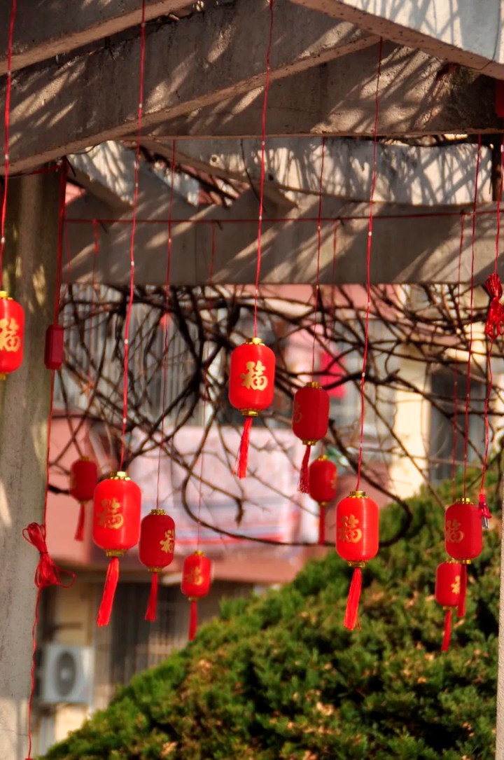 提一盏花灯入梦江南,来青浦用一场元宵灯海收官蛇年春节! 提一盏花灯入梦江南,来青浦用一场元宵灯海收官蛇年春节!