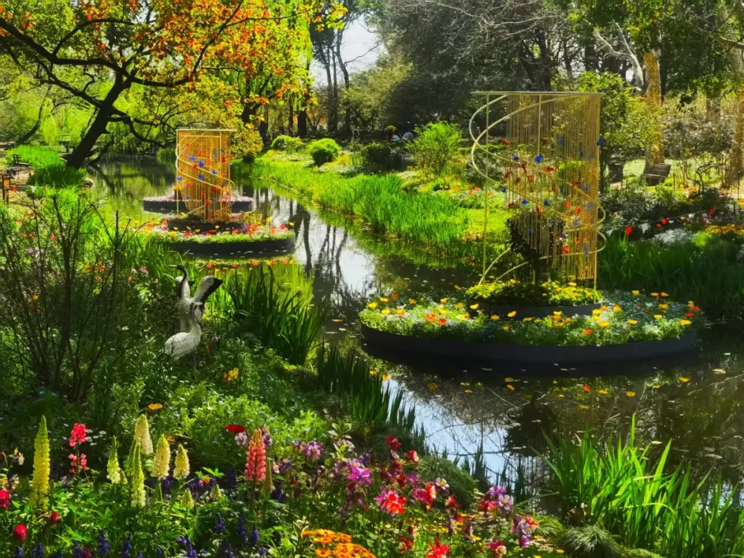 图片 5.png 图片 5.png