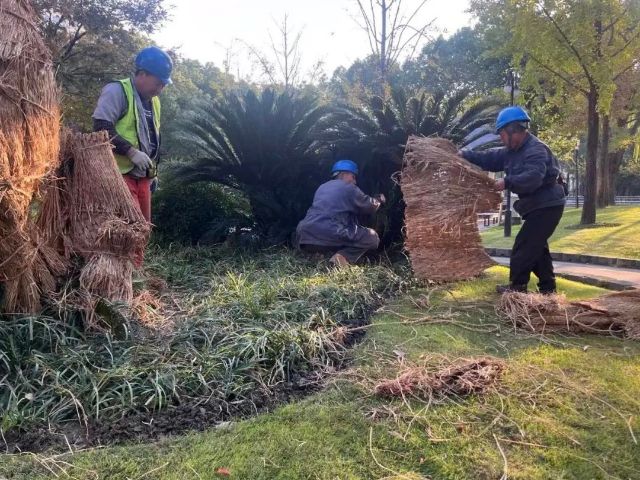 0116_150917_311.jpg 微信图片_2025-01-16_123324_233.png