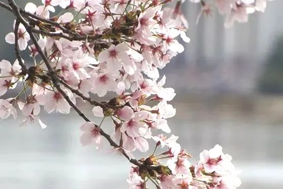 0324_143701_365.jpg 微信图片_2025-03-24_121519_754.jpg