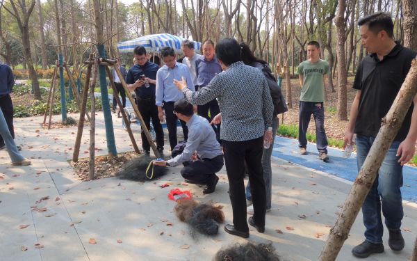 长三角执法协作2.jpg 长三角执法协作2.jpg