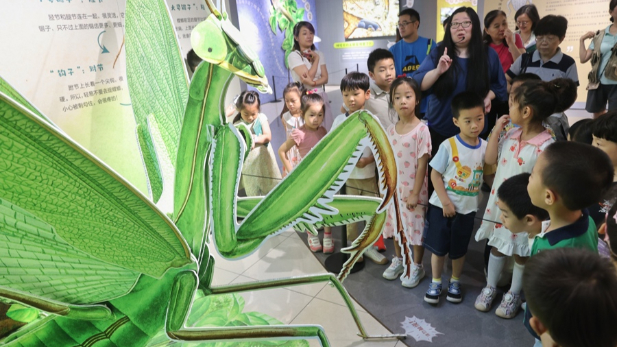 孩子们跟随策展人参观奇趣昆虫互动体验展。 资料图片 .jpg 孩子们跟随策展人参观奇趣昆虫互动体验展。 资料图片 .jpg