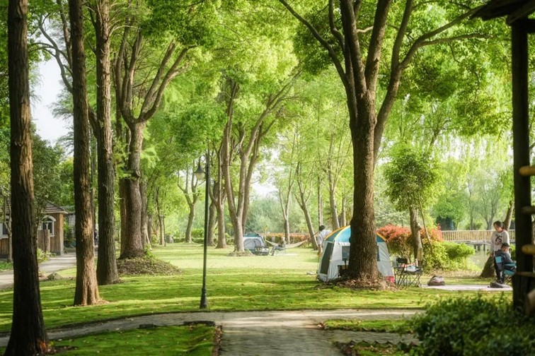 跟着半马游青浦,超燃!2024青浦新城半程马拉松赛即将开赛! 跟着半马游青浦,超燃!2024青浦新城半程马拉松赛即将开赛!