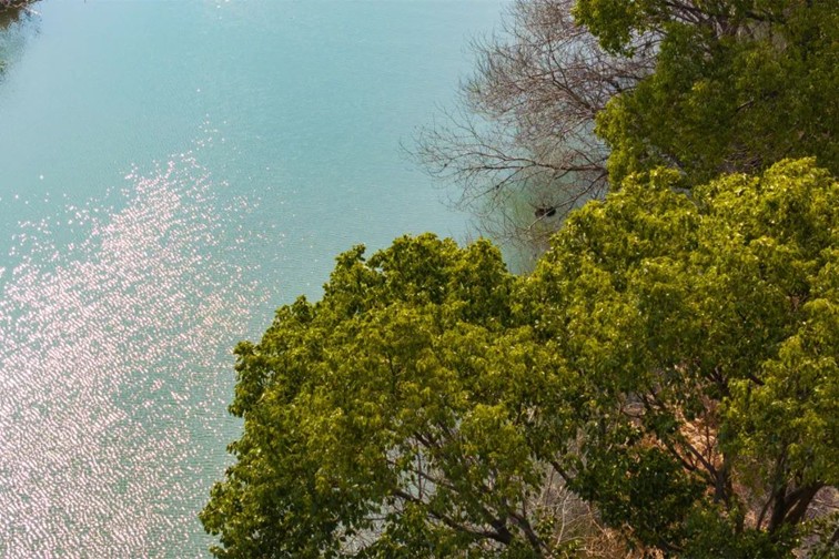 江南春景水一半,12处小流域绘青浦生态美域 江南春景水一半,12处小流域绘青浦生态美域