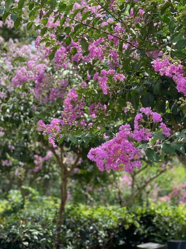 0830_141220_702.jpg 微信图片_20240830095854.jpg