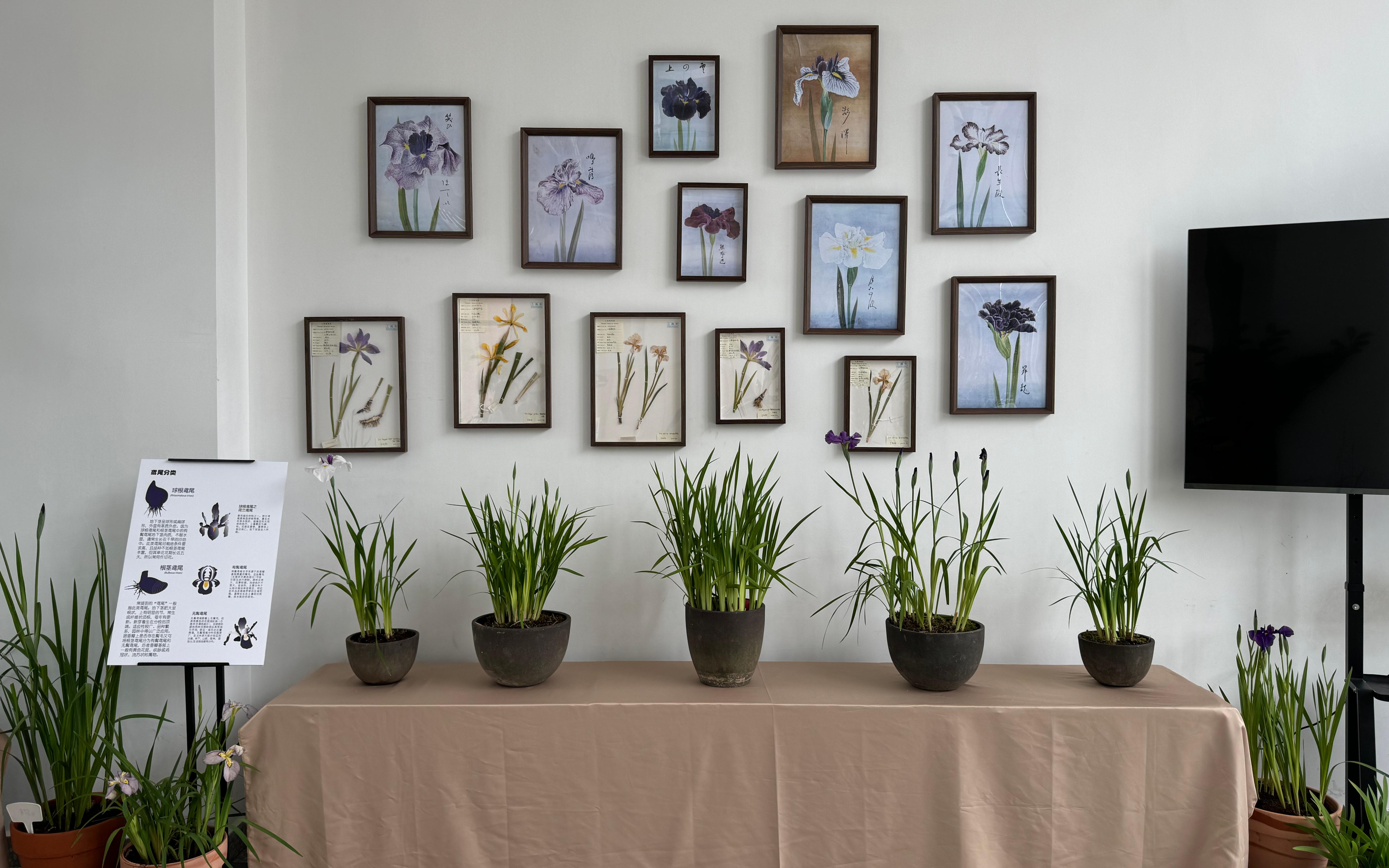 植物园北区4号楼室内展.jpg 植物园北区4号楼室内展.jpg