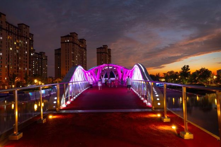 冬日“沪”水游,青浦新城:冬境绮梦,水韵流长 冬日“沪”水游,青浦新城:冬境绮梦,水韵流长