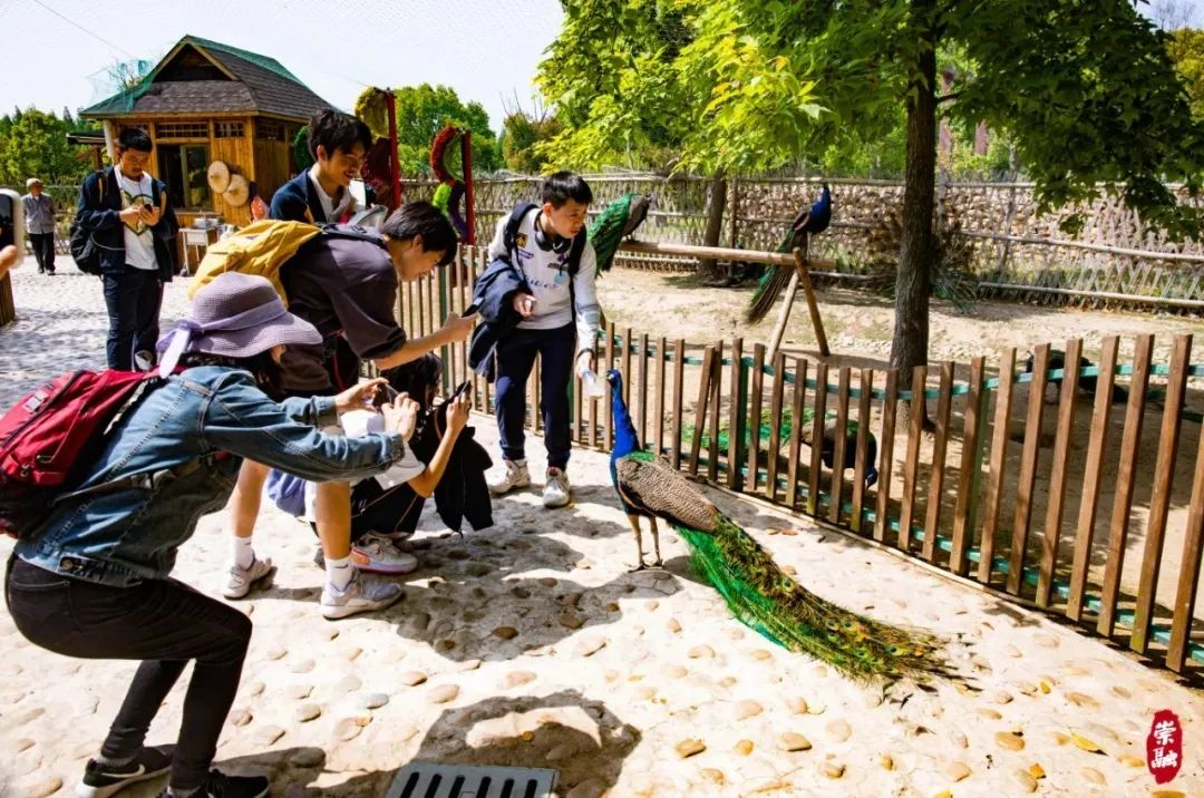 春风如贵客766.png 春风如贵客766.png