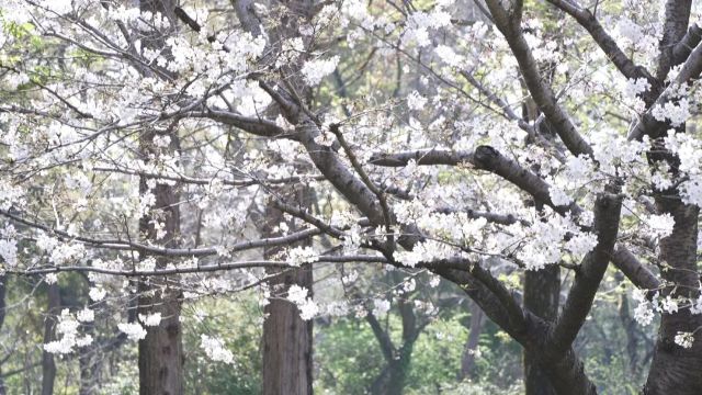 0327_121613_453.jpg 微信图片_2025-03-27_121708_213.jpg