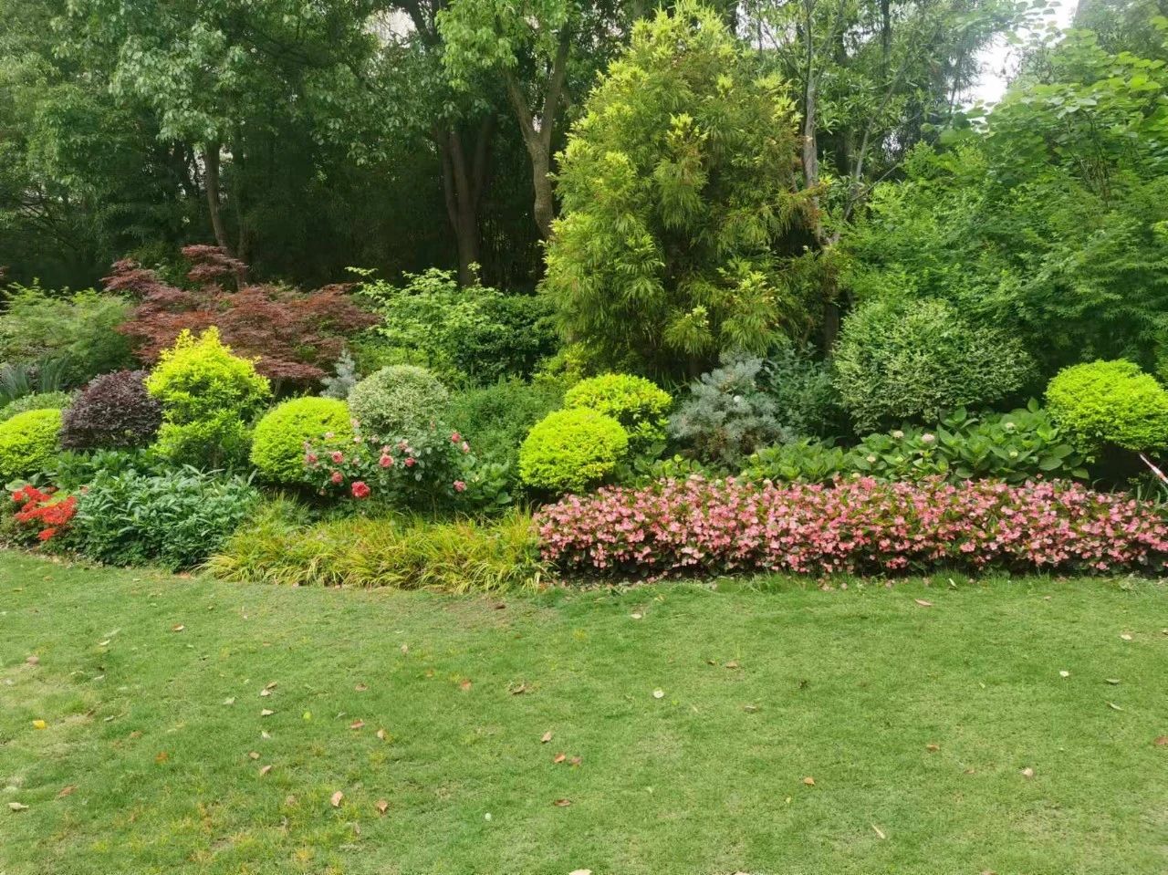 长宁这些公园获奖啦~7.jpg 长宁这些公园获奖啦~7.jpg