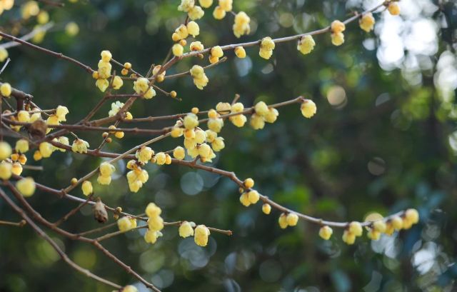 0120_141146_881.jpg 微信图片_2025-01-20_141214_586.png