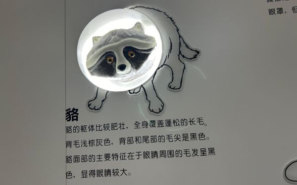 上海首座貉科普馆在御上海社区建成4.jpg