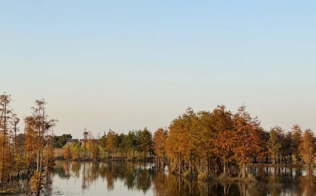 1211_095423_502.jpg 1211_095423_502.jpg