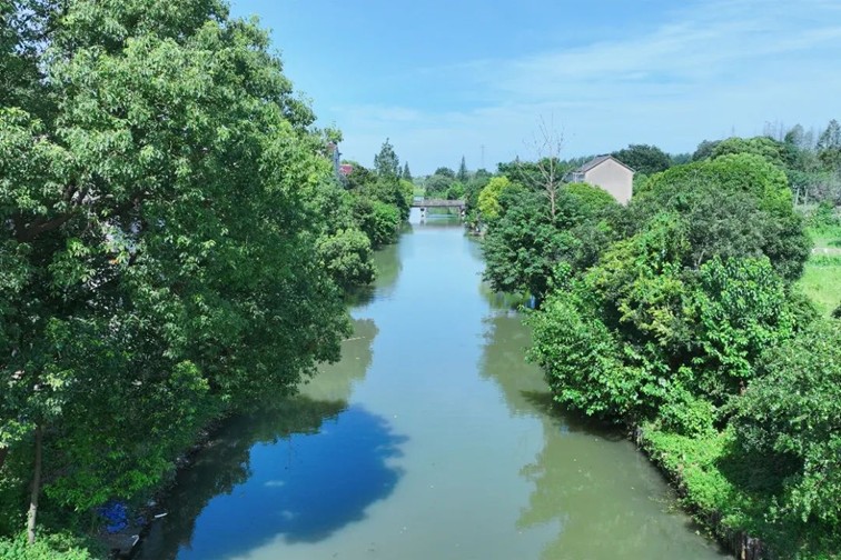 江南春景水一半,12处小流域绘青浦生态美域 江南春景水一半,12处小流域绘青浦生态美域