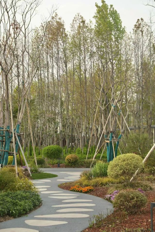 0407_121522_739.jpg 微信图片_2025-04-07_121351_244.jpg