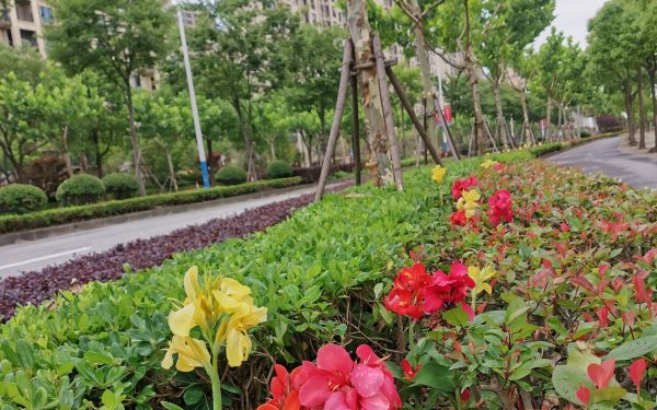 金山区龙航路(海丰路——海盛路) (1).jpg 金山区龙航路(海丰路——海盛路) (1).jpg