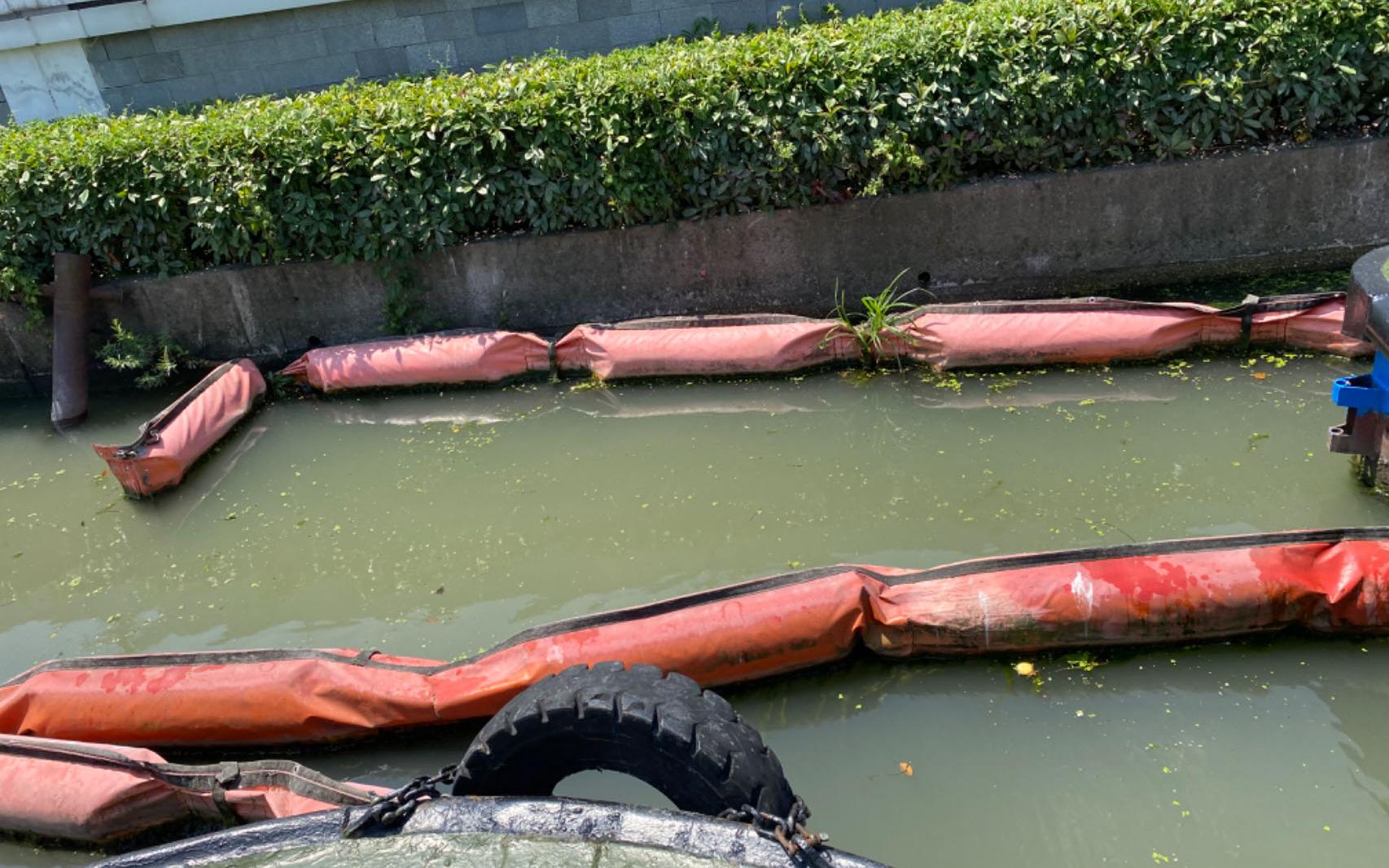 314 (2).jpg 314 (2).jpg