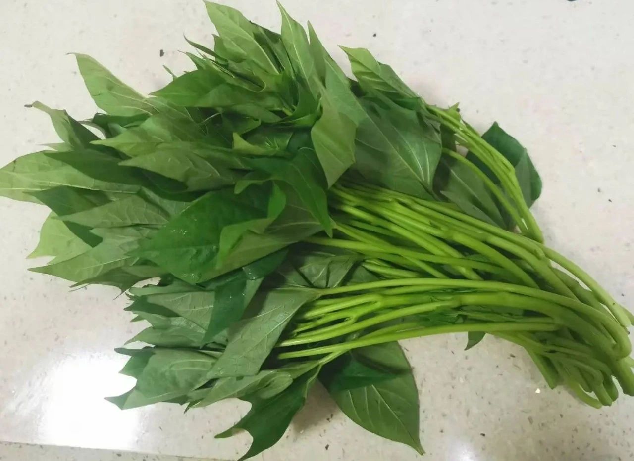 2024121602.jpg 2024121602.jpg