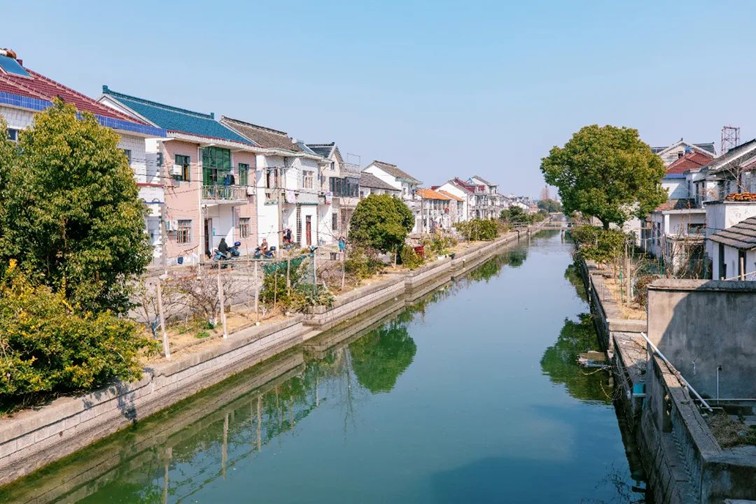 江南春景水一半,12处小流域绘青浦生态美域 江南春景水一半,12处小流域绘青浦生态美域
