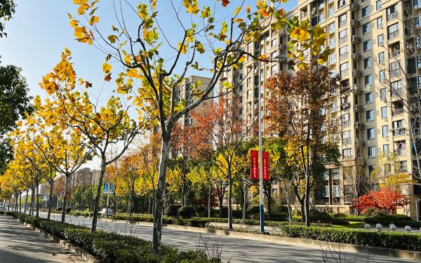 金山区龙航路(海丰路——海盛路) (2).jpg 金山区龙航路(海丰路——海盛路) (2).jpg