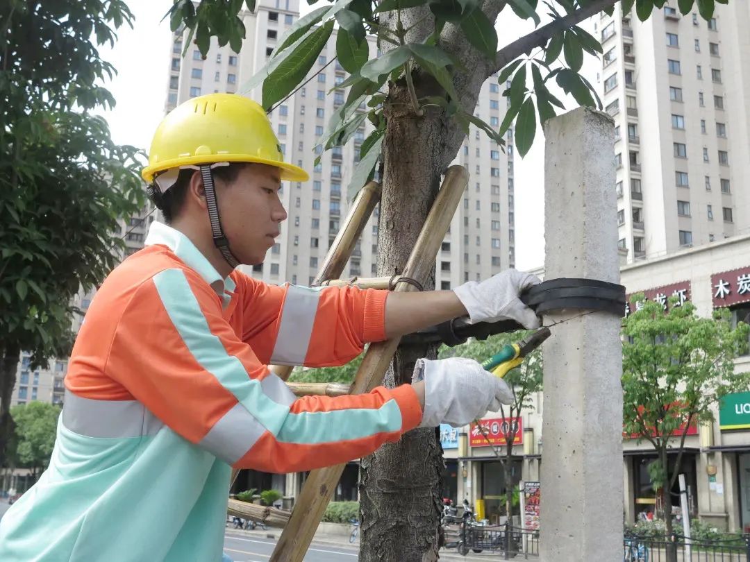 0726_083053_953.jpg 0726_083053_953.jpg