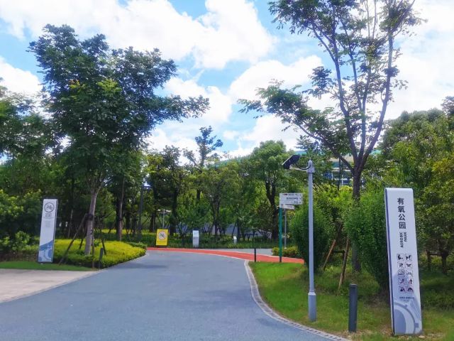 0729_120721_468.jpg 14ae8fb5891045438156fbb3965604ad~noop.webp.png