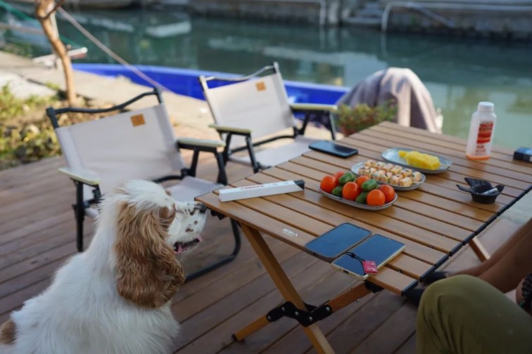 一二三四|青浦秋日疗愈系轻居,每一家都想住一遍…… 一二三四|青浦秋日疗愈系轻居,每一家都想住一遍……