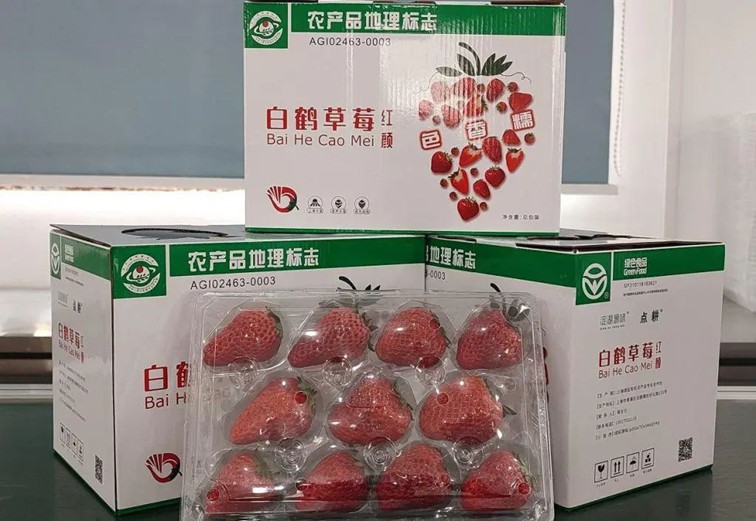 入选“国”字号!这几种青浦特色农产品,每一款都超赞~ 入选“国”字号!这几种青浦特色农产品,每一款都超赞~