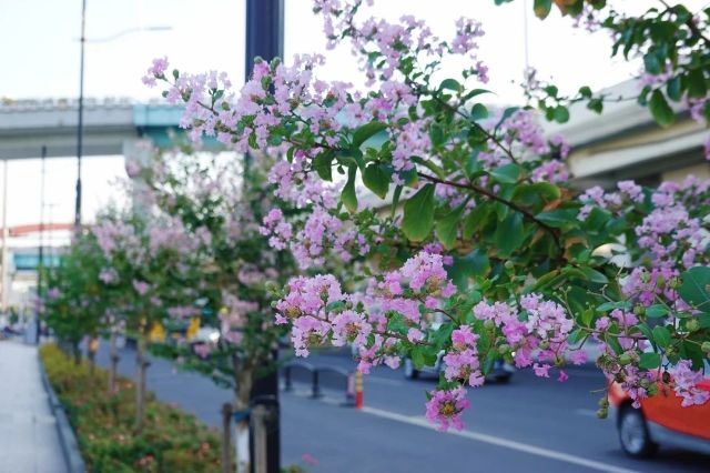 0830_141442_731.jpg 微信图片_20240830095915.jpg