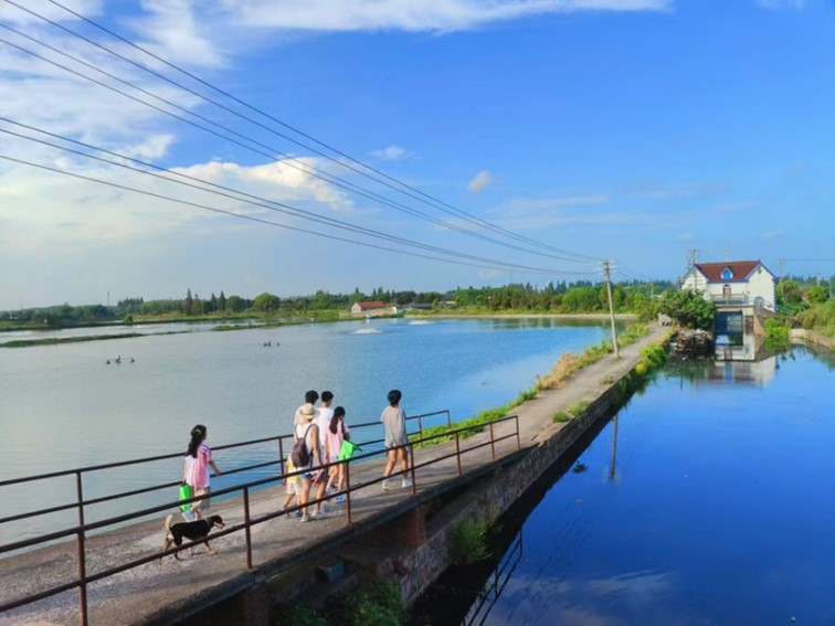 左拥乡野,右枕星河!青浦这几家雅居入选2024市级乡村民宿! 左拥乡野,右枕星河!青浦这几家雅居入选2024市级乡村民宿!