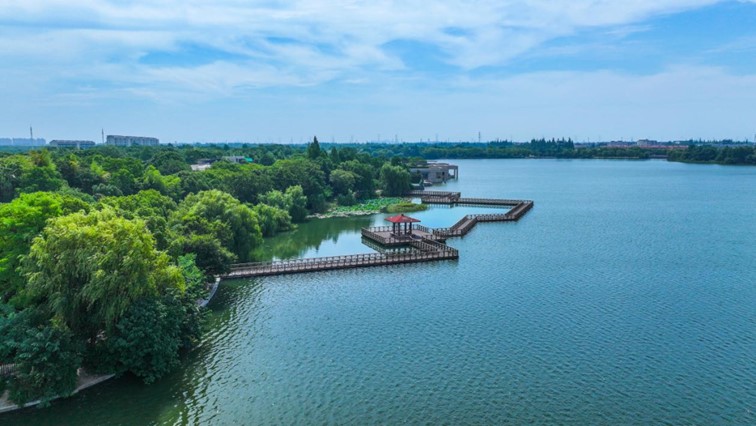 秋水伊人,来青浦,乘坐公共交通邂逅初秋水岸的一缕风凉! 秋水伊人,来青浦,乘坐公共交通邂逅初秋水岸的一缕风凉!