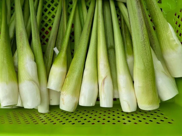 入选“国”字号!这几种青浦特色农产品,每一款都超赞~ 入选“国”字号!这几种青浦特色农产品,每一款都超赞~